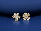 Fashion earrings